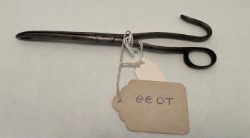 Forceps, lithotomy